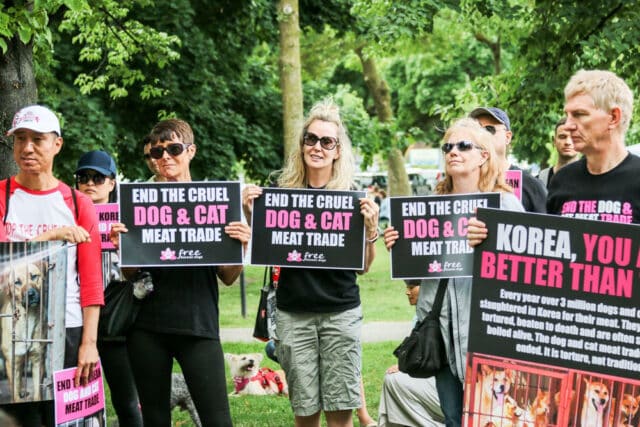 Toronto protest