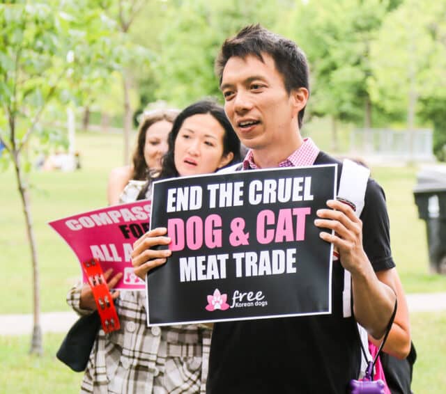 Protest against Korean dog meat trade-07