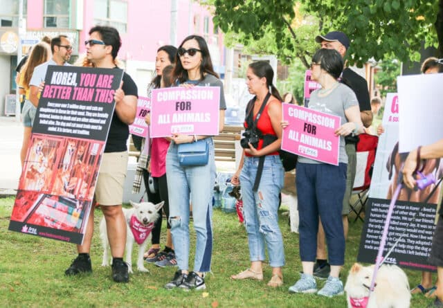 Protest against Korean dog meat trade-11