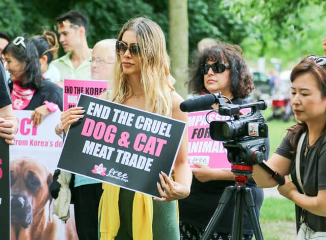 Protest against Korean dog meat trade-15