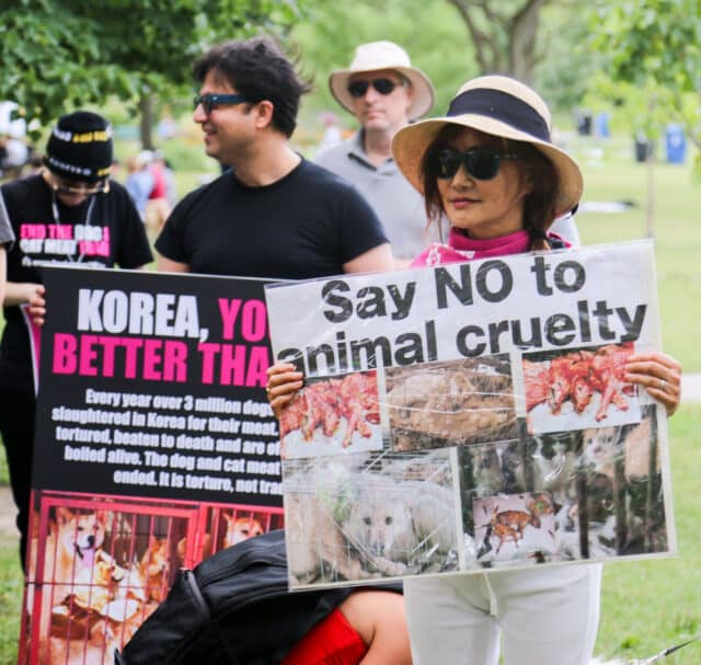 Protest against Korean dog meat trade-16
