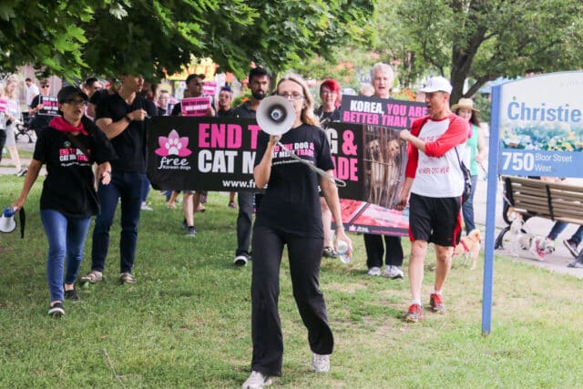 Protest against Korean dog meat trade-17