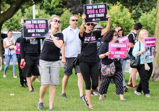 Protest against Korean dog meat trade-18