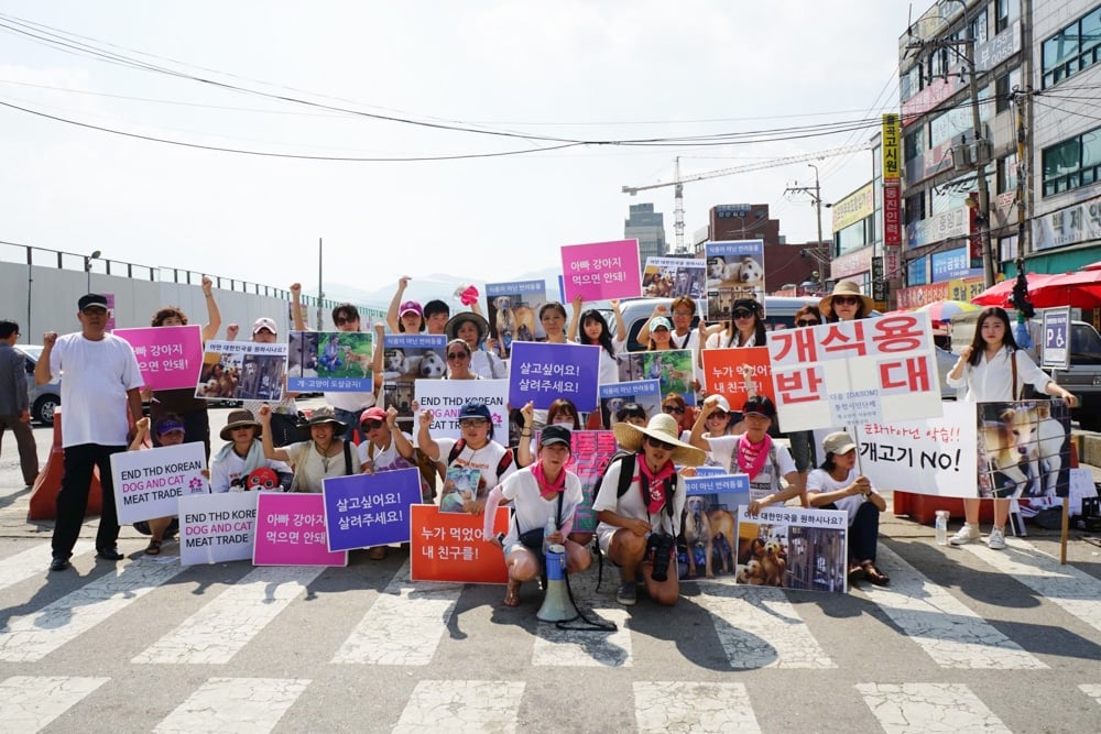 Protest at Moran dog meat market