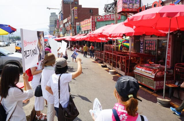 Protest At Moran Dog Meat Market 03