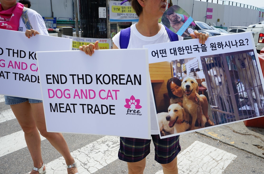 Protest at Moran dog meat market