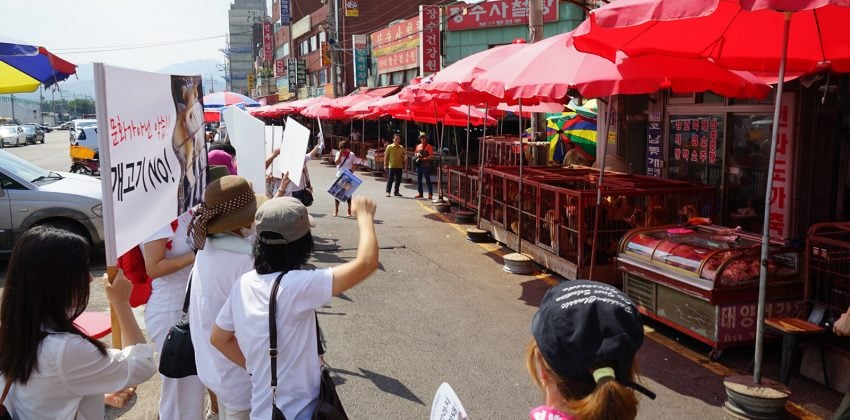 Protest at Moran Dog Meat Market