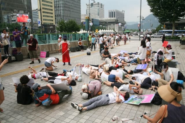 Protest In Korea 2016 2