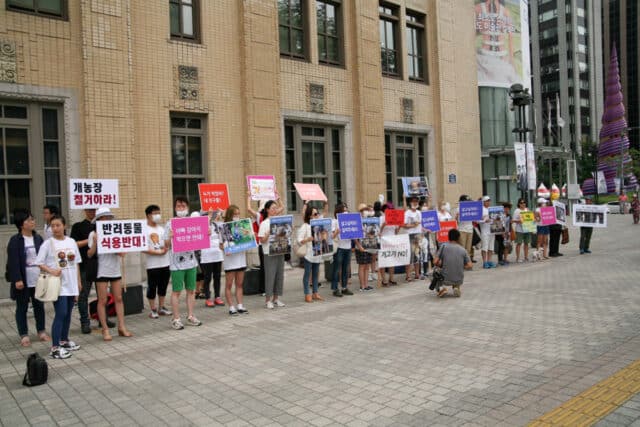 Protest In Korea 2016 3