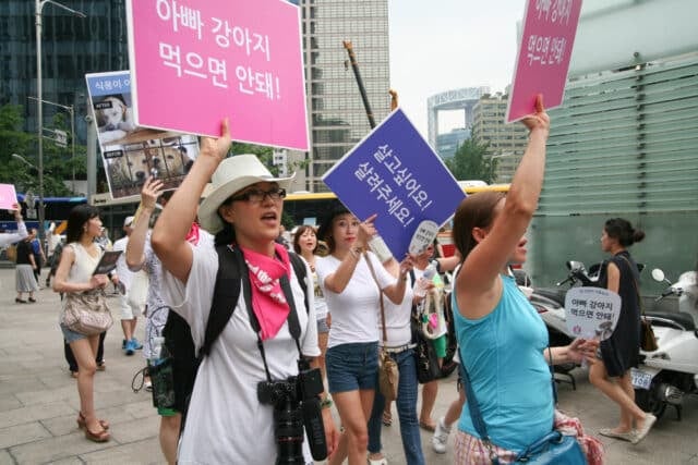 Protest in Korea 2016