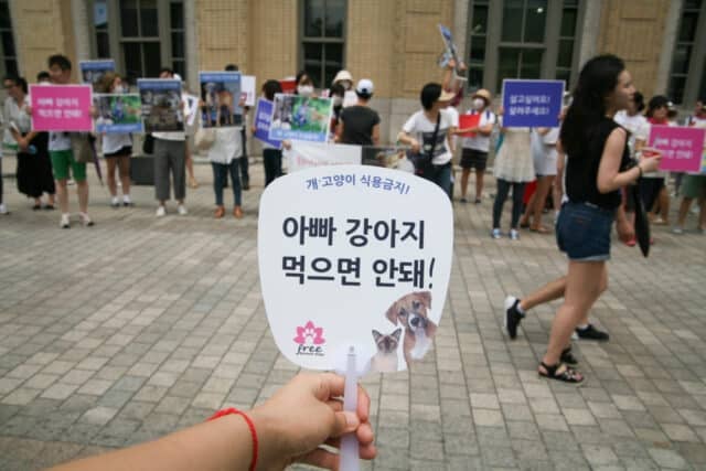 Protest in Korea 2016