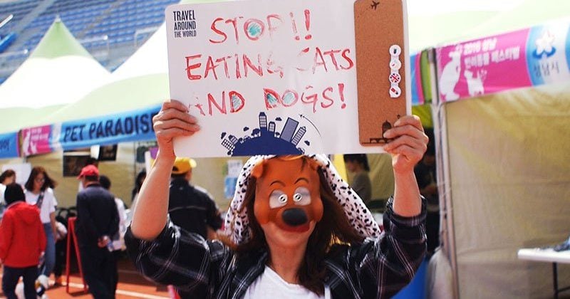 Protest To End The Korean Dog Meat Trade