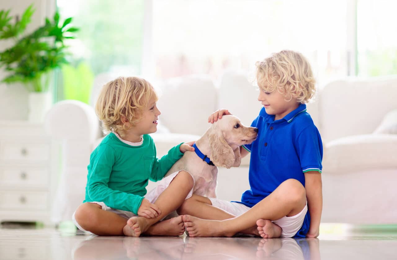 Puppy and children