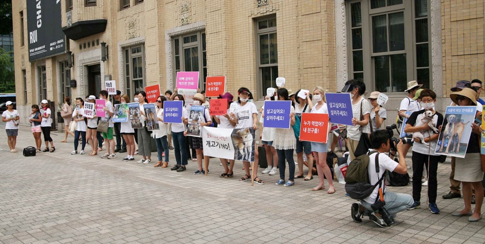 Seoul-protest