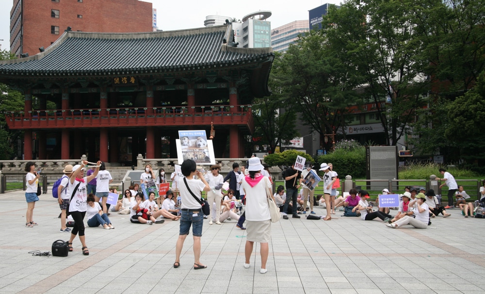 Seoul protest