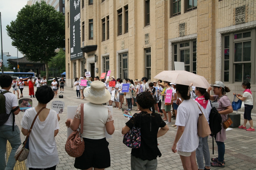 Seoul protest