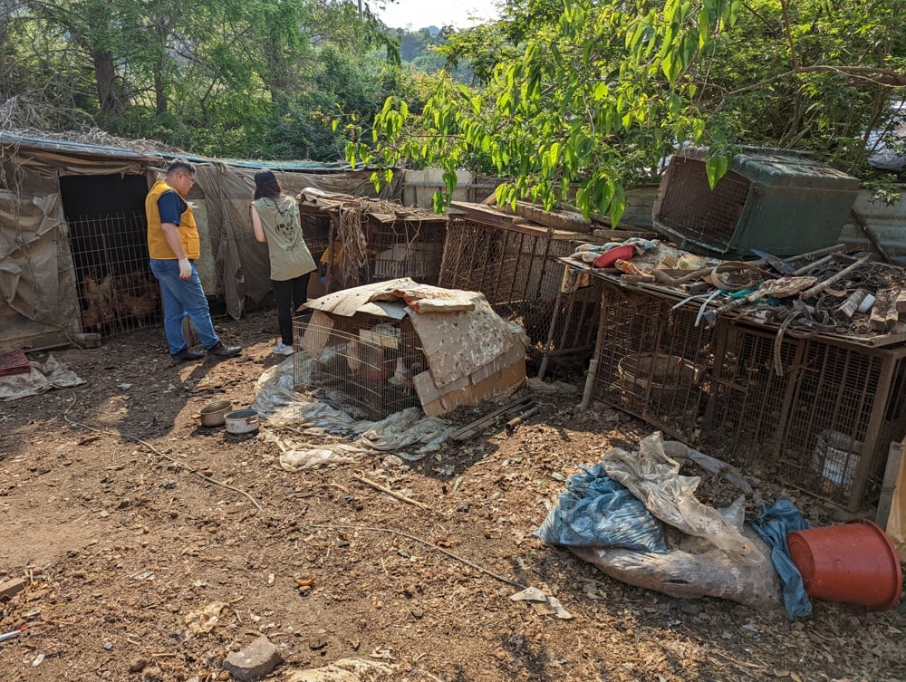 Siheung Dog Meat Farm Shutdown 23