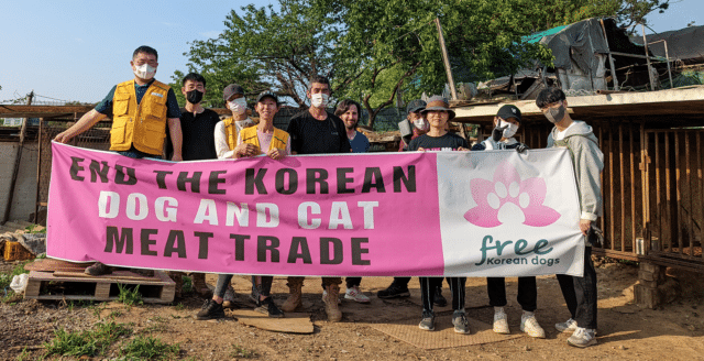 Siheung Dog Meat Farm Shutdown