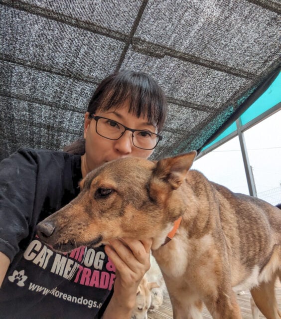 Jumback from Dangjin dog meat farm