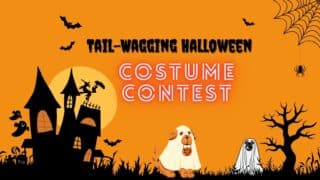 Tail Wagging Halloween Poster