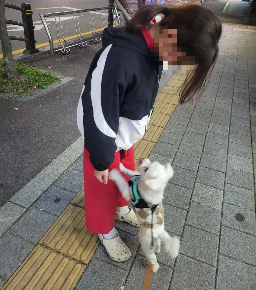Tongky