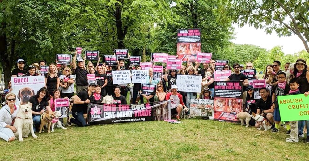 Toronto protest 2018