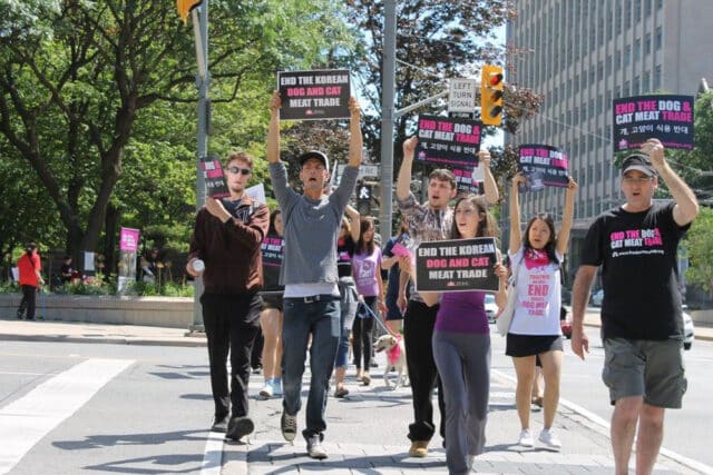 Toronto protest 2016