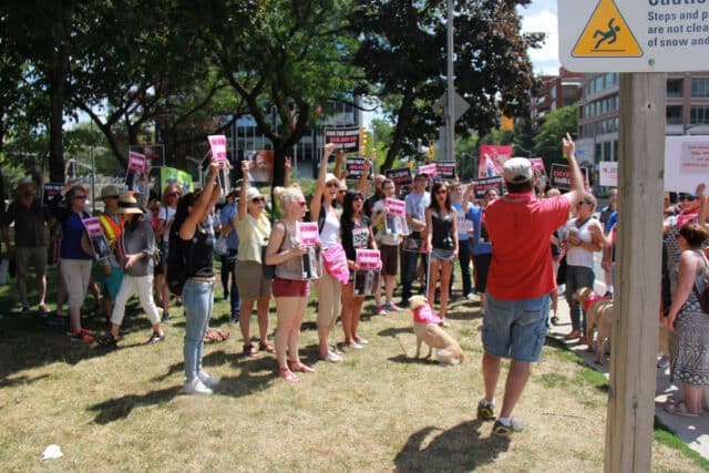 Toronto protest