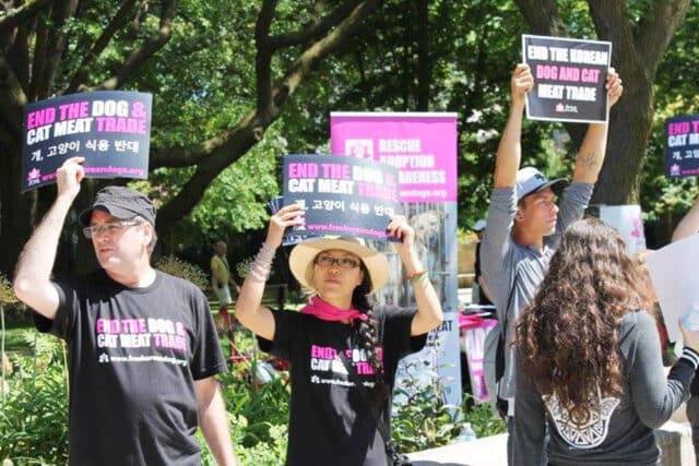 Toronto protest 2016