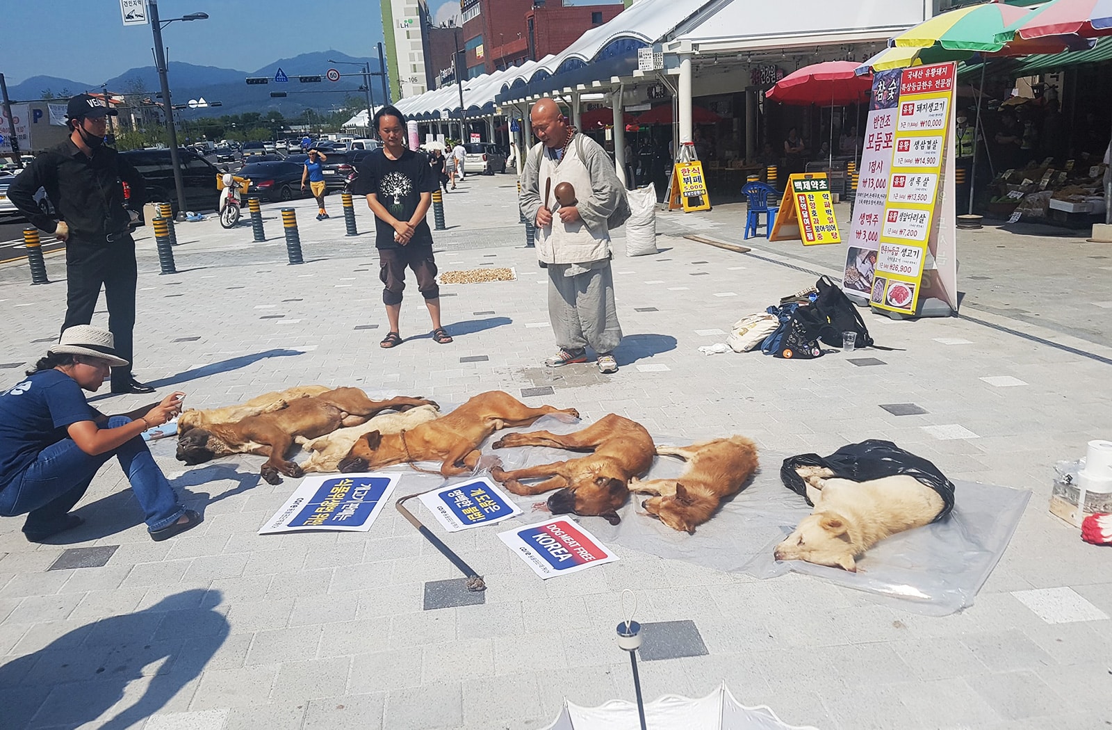 Protest Against The Dog Meat Trade (c) Jinwoo Jung