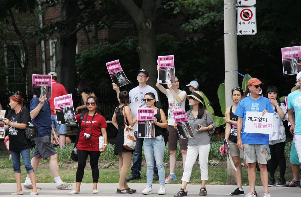 Second Annual Toronto Boknal Protest