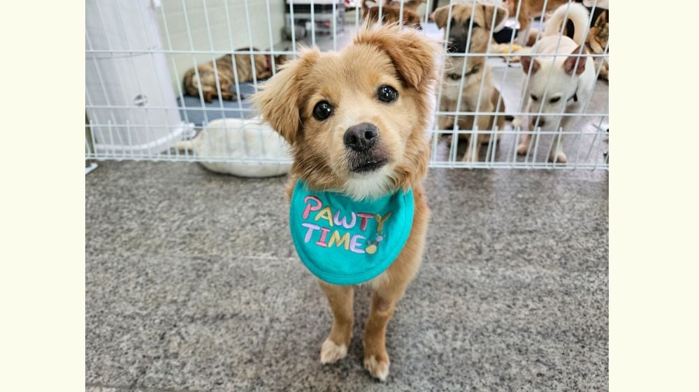 Winnie