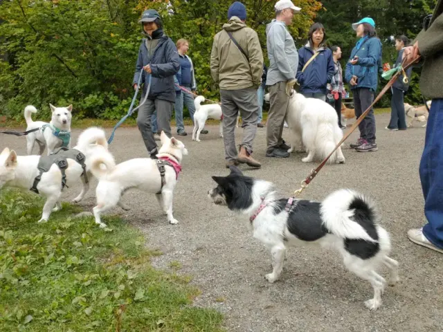 Vancouver Freedom Walk 2025