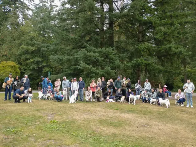 Vancouver Freedom Walk 2025