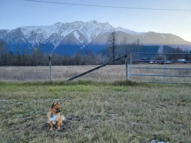 Wawa, Vancouver 2025