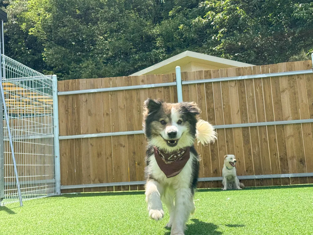 Winnie