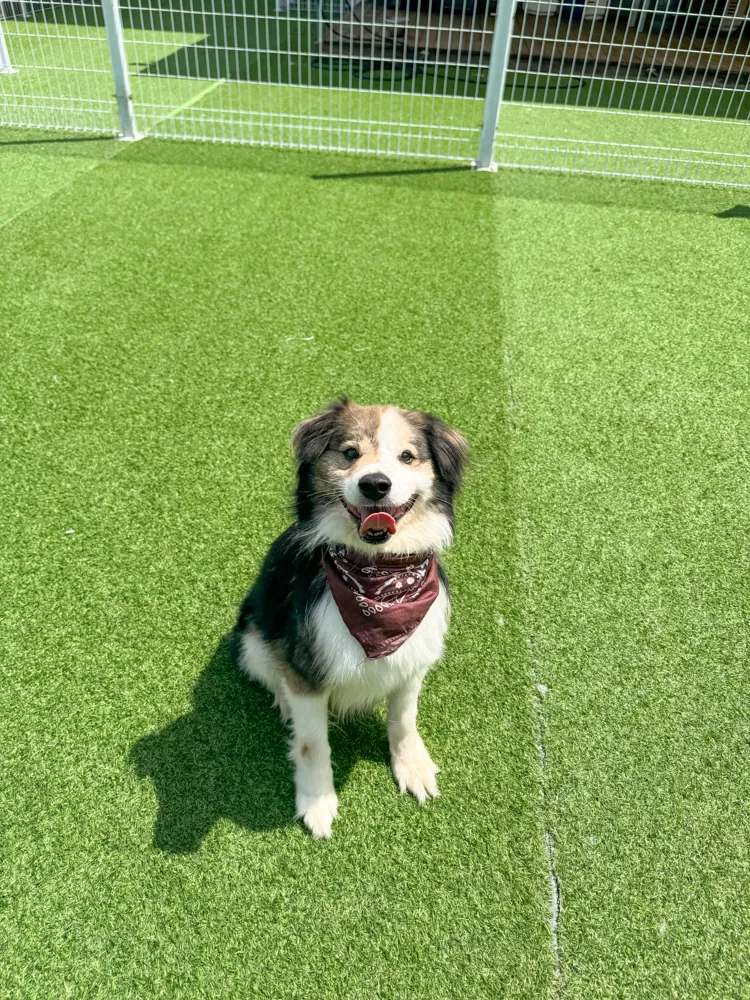 Winnie