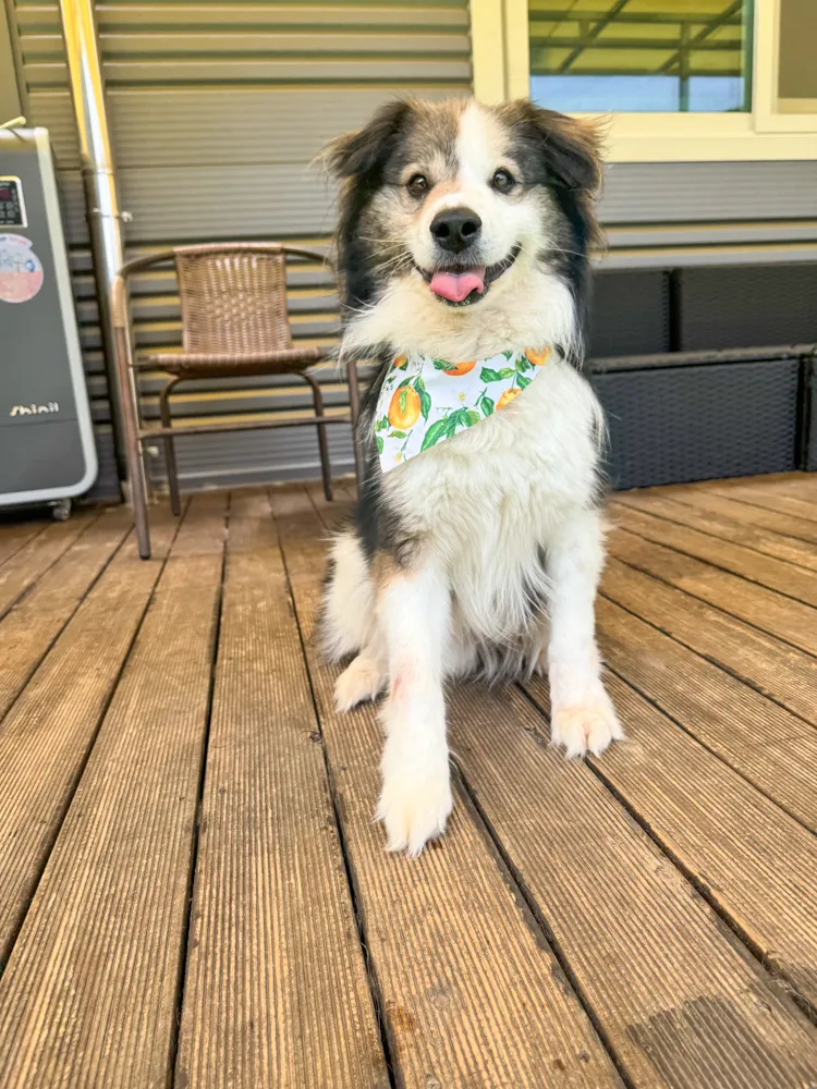 Winnie