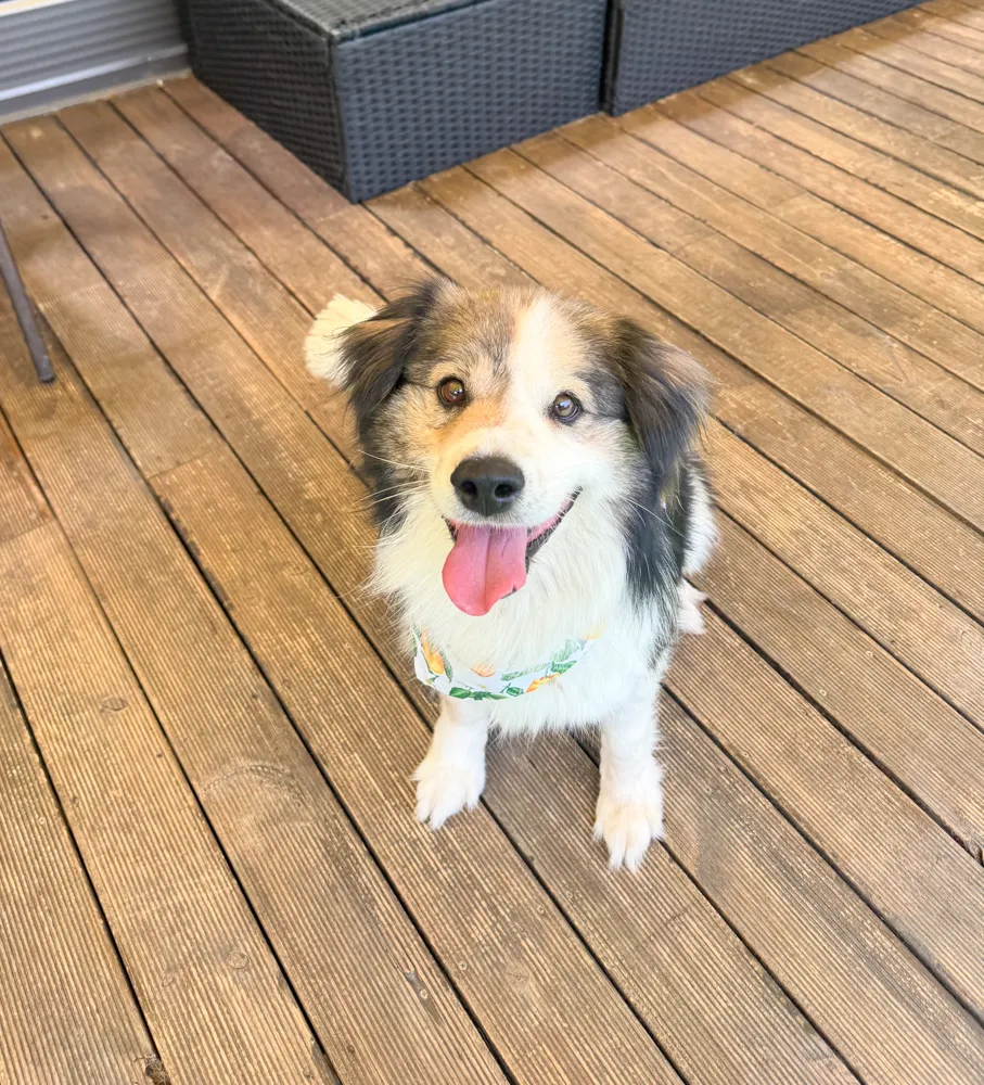 Winnie