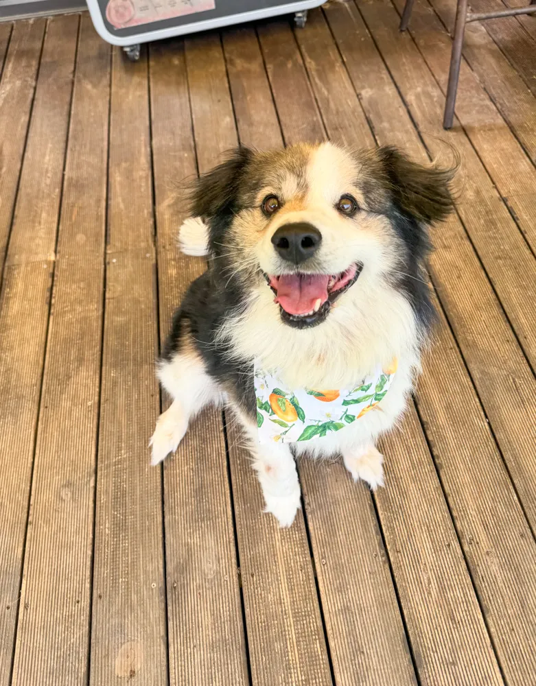 Winnie