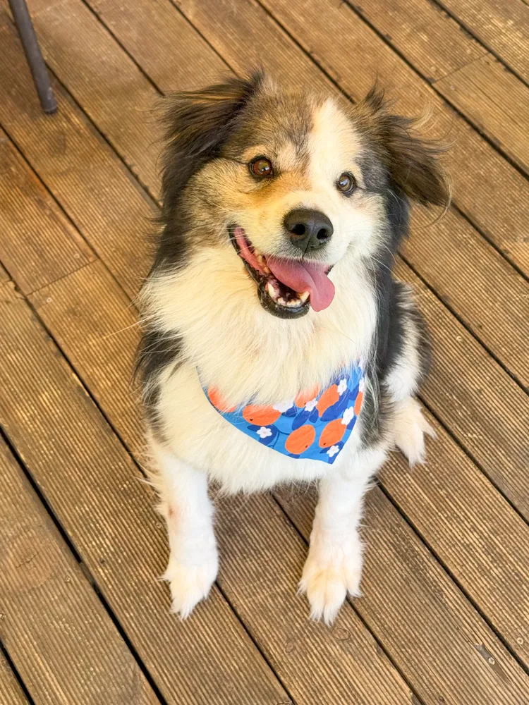 Winnie