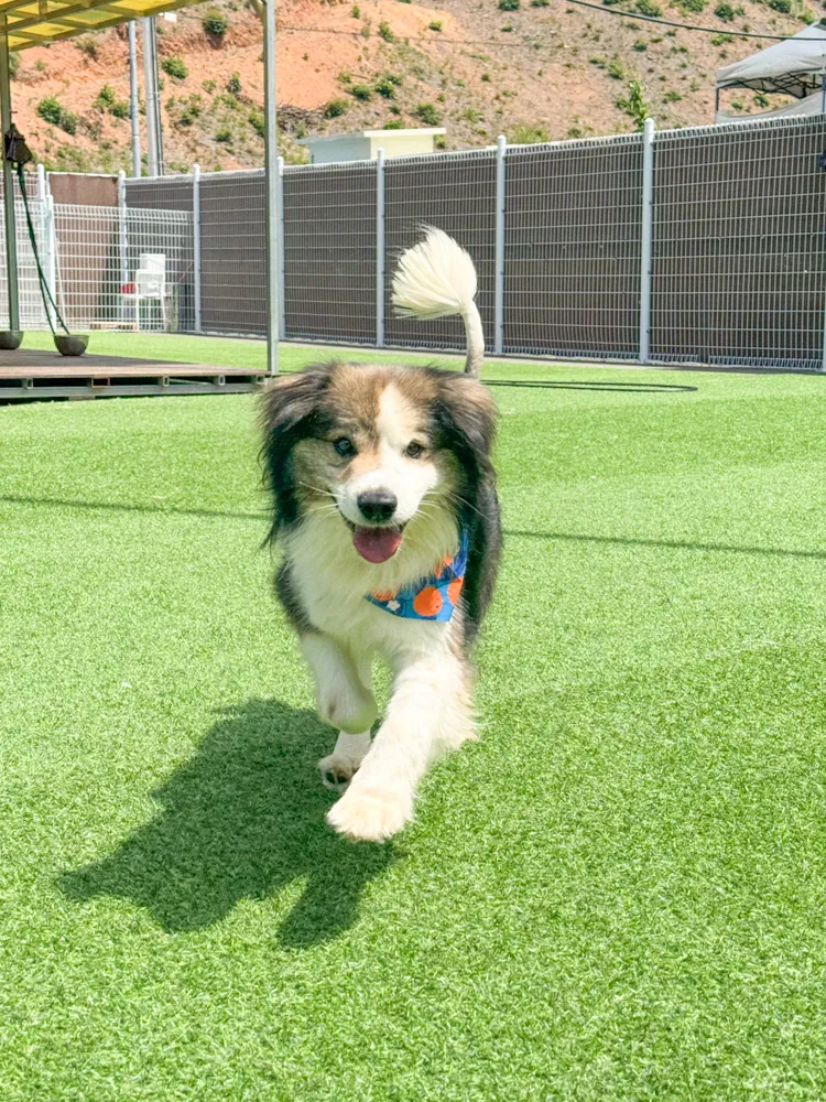 Winnie