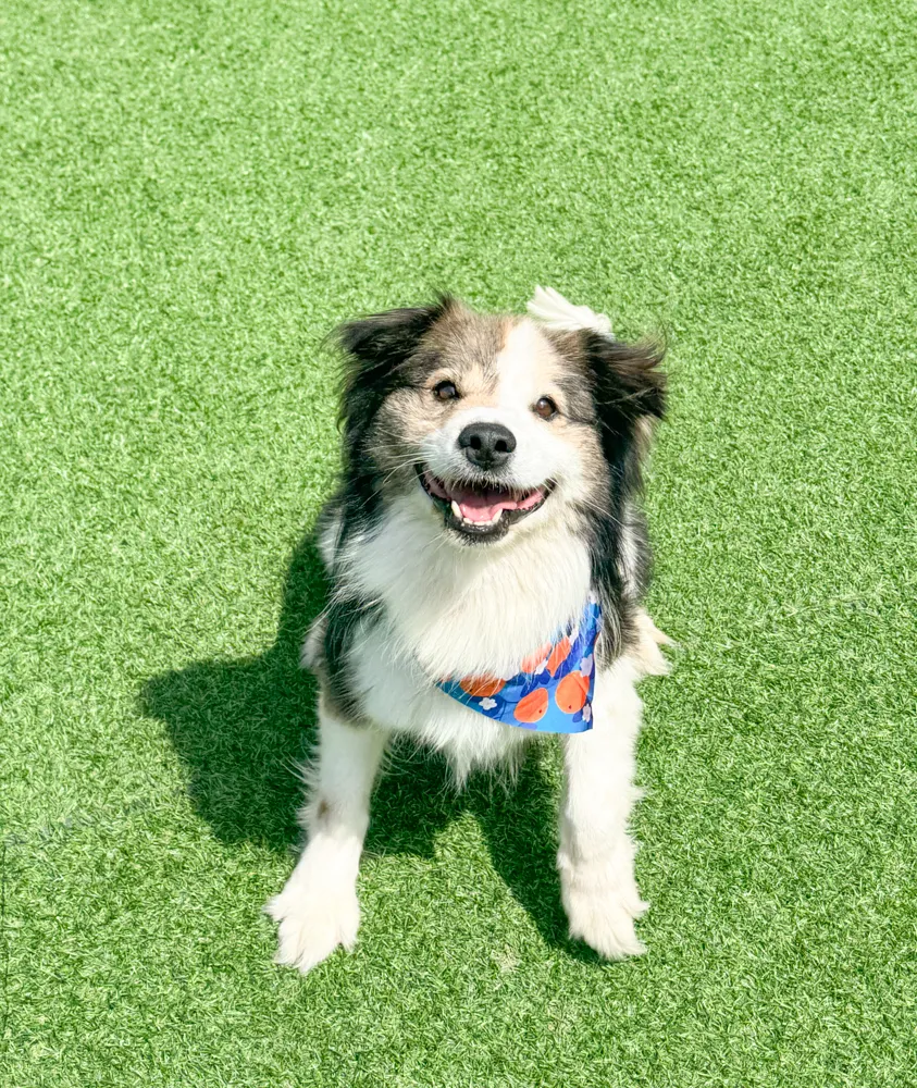 Winnie