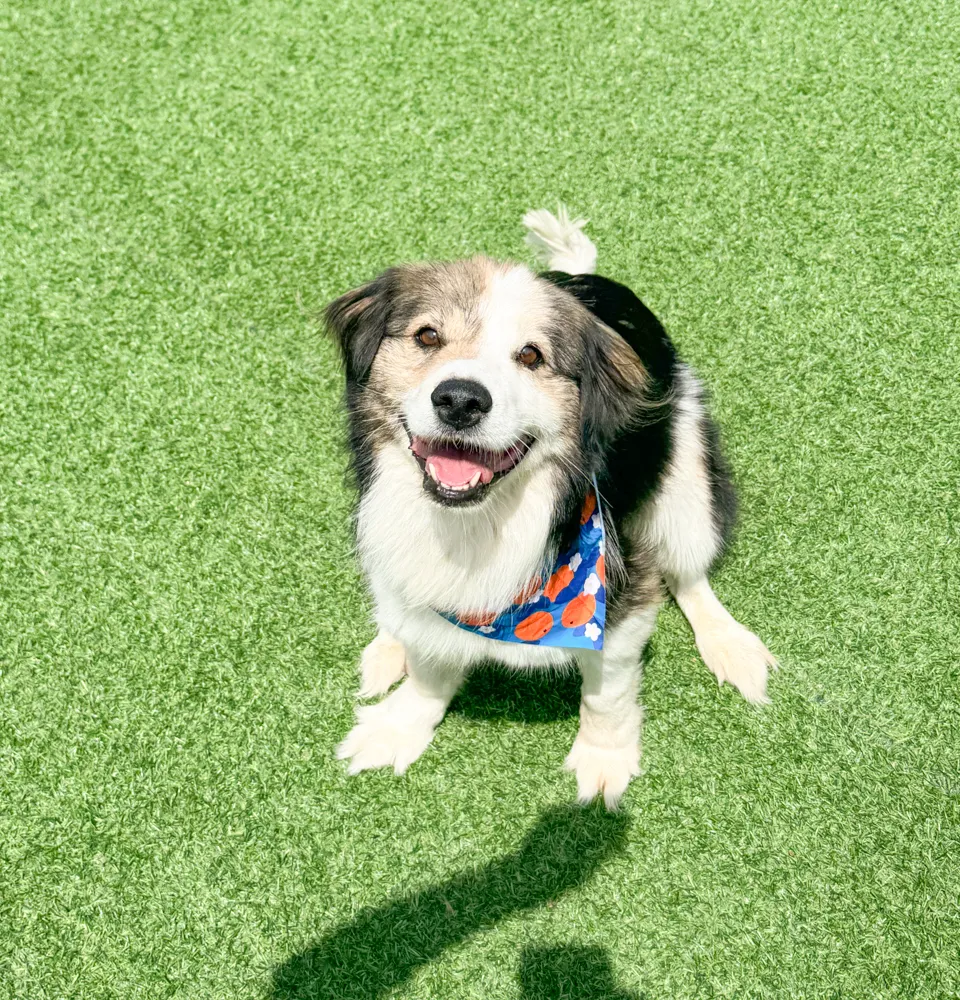 Winnie