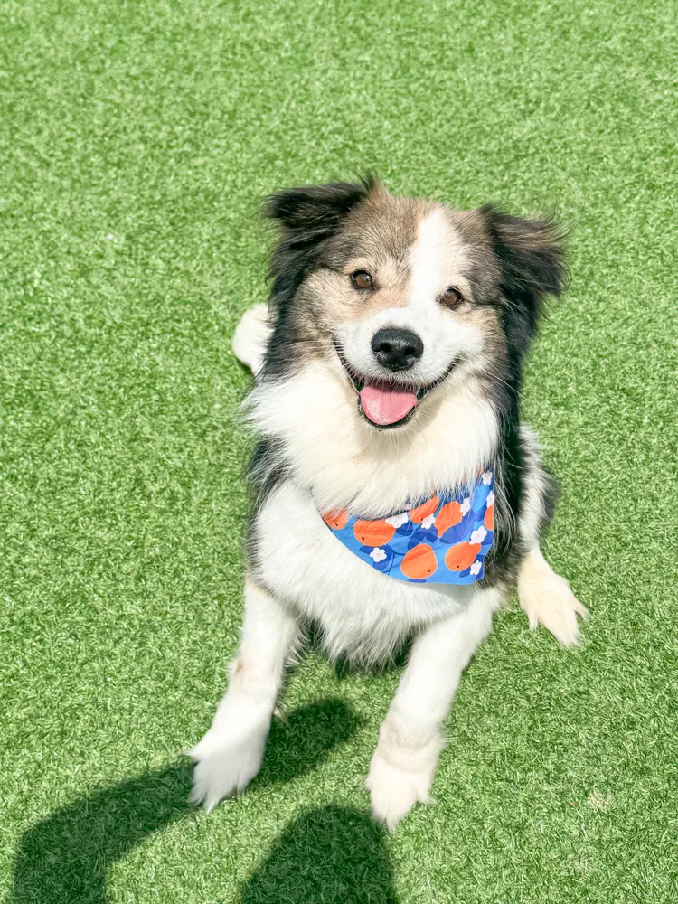 Winnie