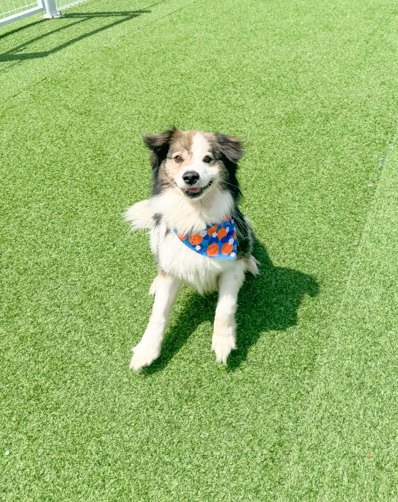 Winnie