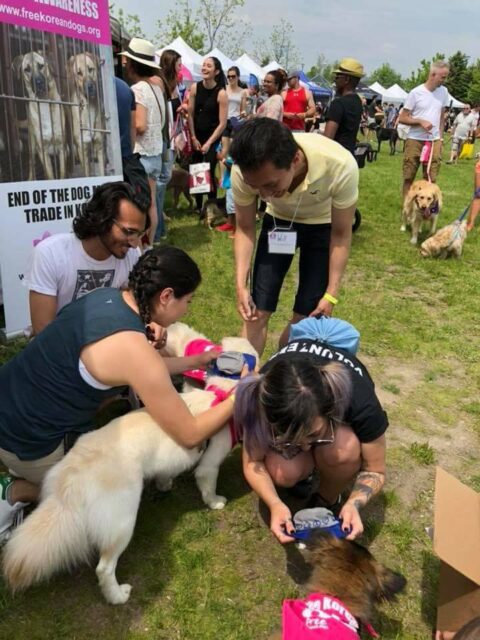 Woofstock 2018