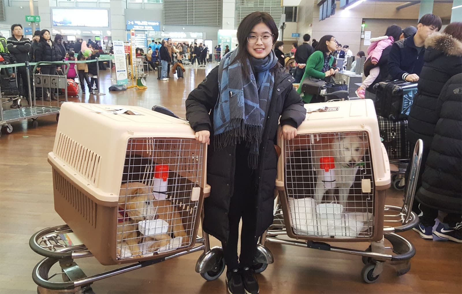 Eun Bee With The Two Rescue Dogs