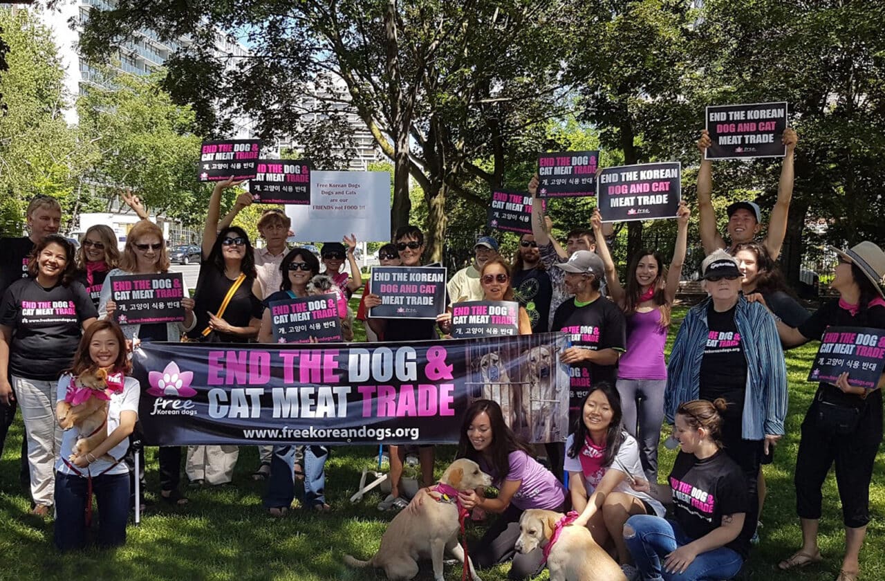 2017 Toronto Protest aginst the Dog and Cat Meat Trade
